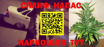 сатива Кандалакша