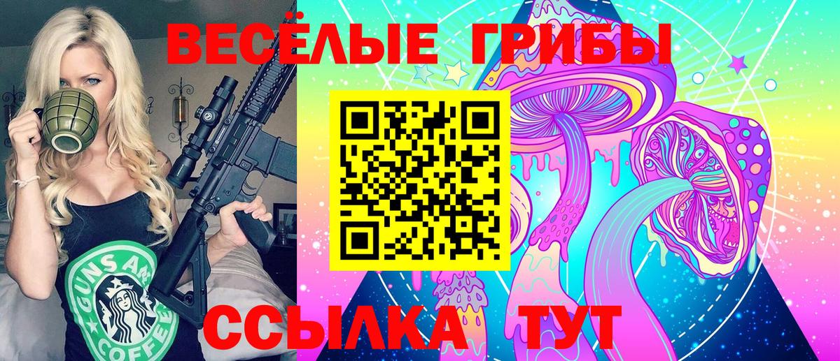 Псилоцибиновые грибы Psilocybe Кызыл