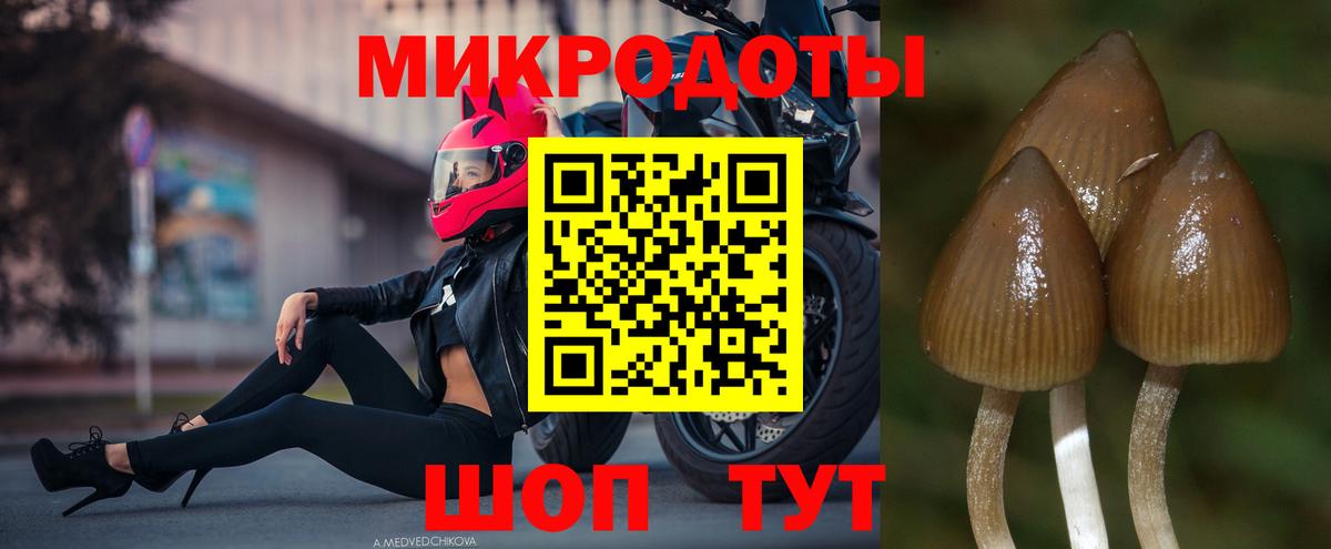 Псилоцибиновые грибы Psilocybe  Вход с VPN  Галлюциногенные грибы Psilocybine cubensis  Кызыл 
